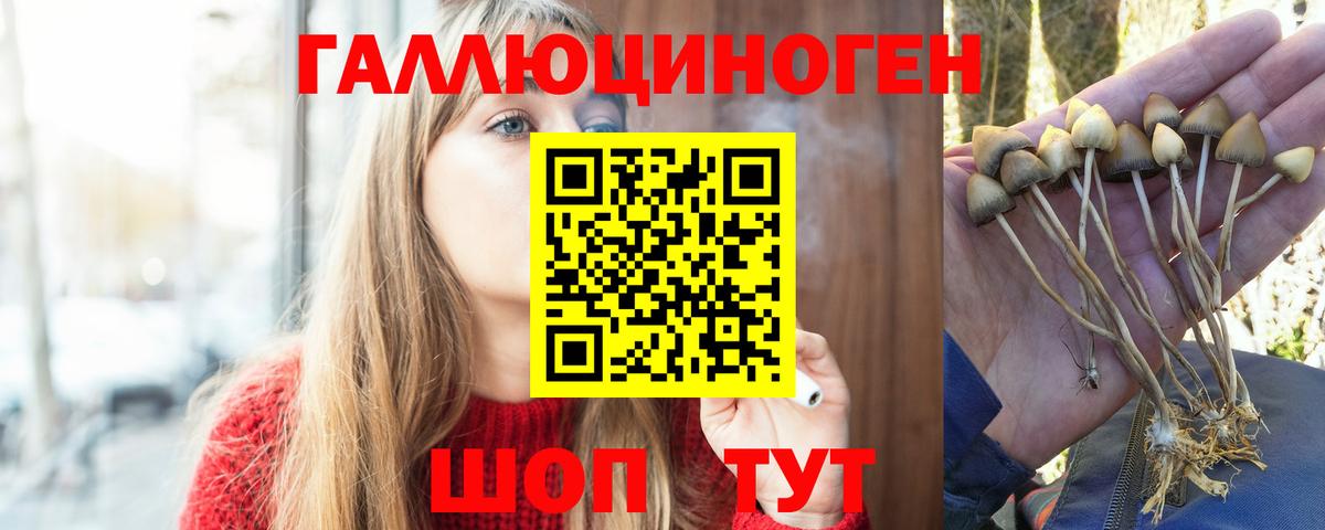 Галлюциногенные грибы MAGIC MUSHROOMS Новокубанск